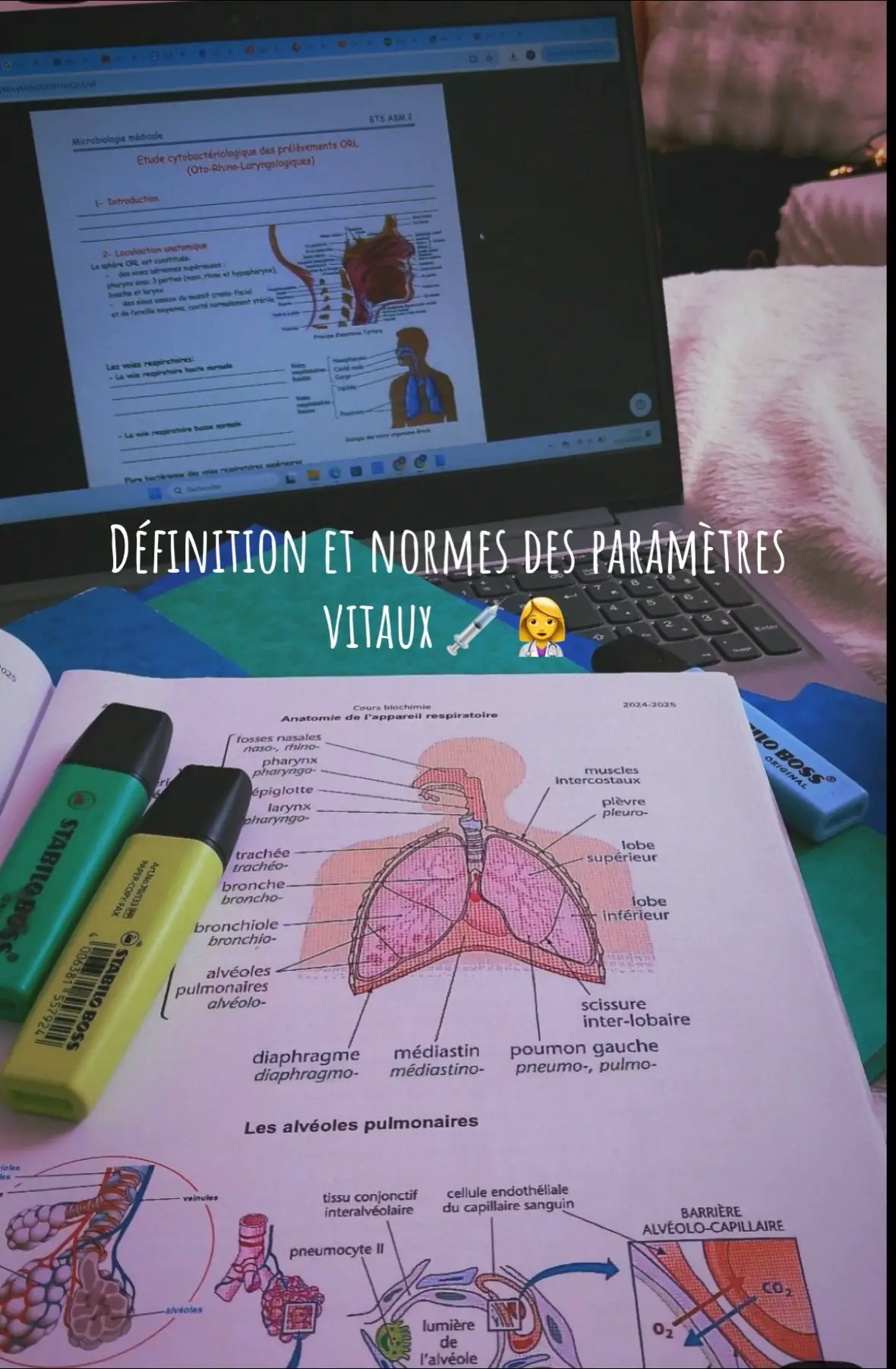 #pourtoii #ifsi #infirmiere #normes 