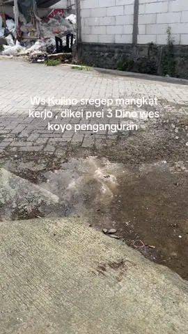 Umpamane wes bayaran camp duwur gunung kyk e wenak #kulipabrik 