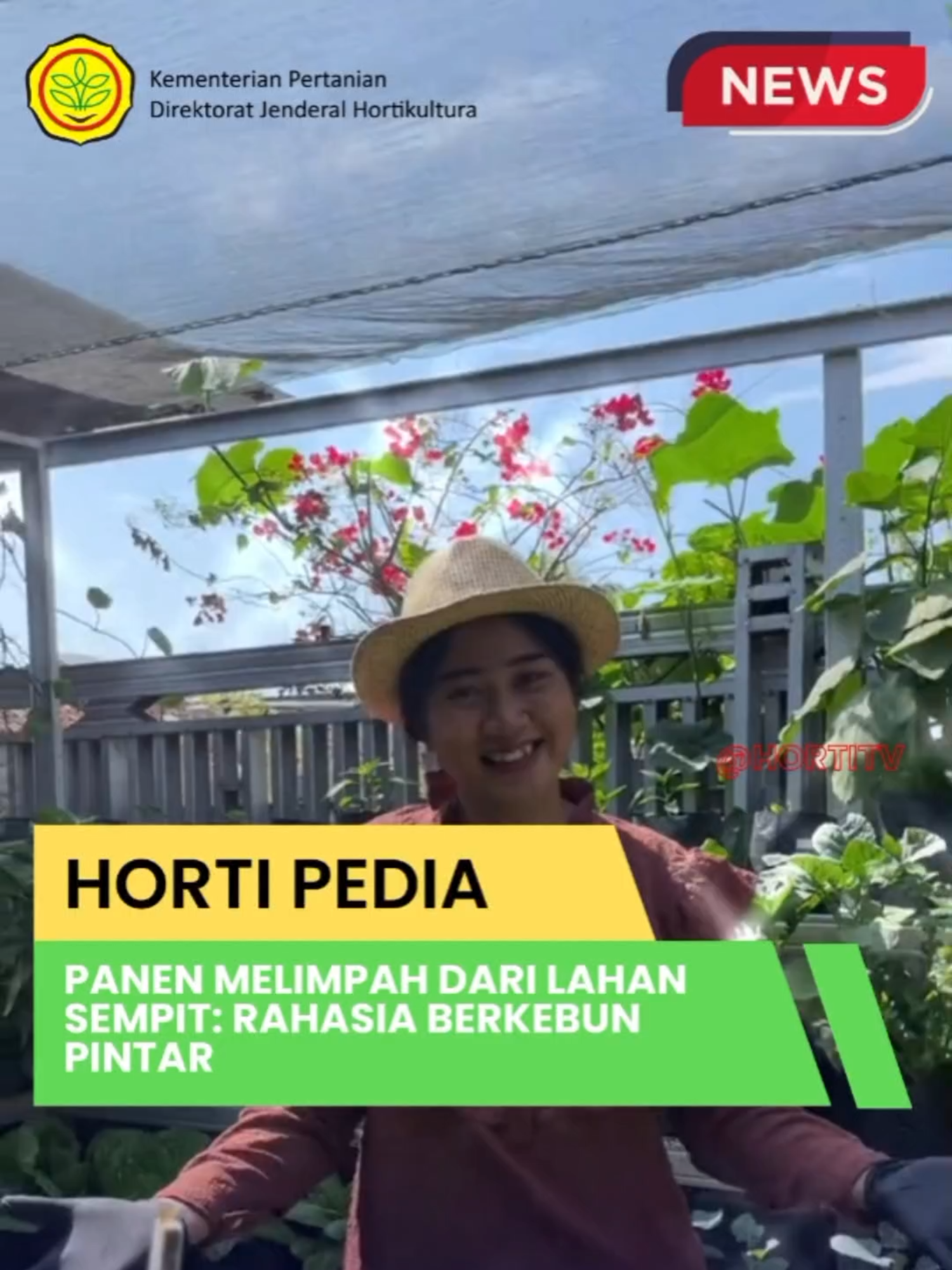 Lahan kecil bukan halangan untuk panen besar!🌱 Dengan perencanaan yang tepat dan metode yang sesuai, lahan sempit pun dapat disulap menjadi kebun produktif. @kementanri @lambetani #Kementan #Berkebun #TipsBerkebun #InformasiPertanian #ForYou #PetaniMilenial #tipsberkebun #petanimilenial #bertiapertanian #viralvideos #mentan #fyppp #viraltiktok #viral #trendingtiktok #trendingsong
