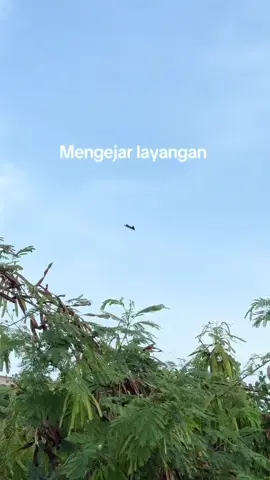 Horeeeeeee