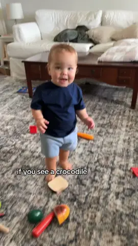 If you see an alligator don’t forget to scream #LanguageLearning #baby #tiktok #funny #fouryou #fyp #happy #cute #laugh 