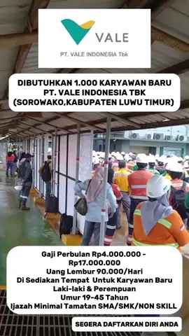 DIBUTUHKAN 1.000 KARYAWAN BARU PT. VALE INDONESIA TBK (SOROWAKO,KABUPATEN LUWU TIMUR)  Gaji Perbulan Rp4.000.000 -  Rp17.000.000 Uang Lembur 90.000/Hari Di Sediakan Tempat  Untuk Karyawan Baru Laki-laki & Perempuan Umur 19-45 Tahun Ijazah Minimal Tamatan SMA/SMK/NON SKILL INFO PENDAFTARAN LINK DI BIO #ptvaleindonesia  #masukbrandafyp #lowongankerja #anaktambang #nickel 