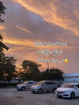 မင်းကြားနိင်မှာပါ တစ်နေ့ကျ#fyp #livehighlights #viral #fyppppppppppppppppppppppp 