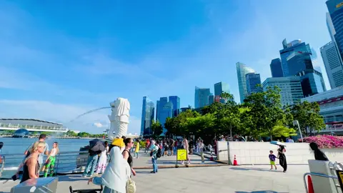 #singapore #fypシ゚ #vairal 