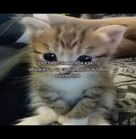 ОГО КАКОЙ АКТИВ #rekkkkkkkkkkkkkkkkkkkkkkkkkkkkkkk #foryou #fyp #щп #люблю 