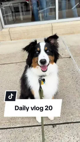 Vlog day 20! #barnesandnoble #remarkablybrightcreatures #zodiacacademy 
