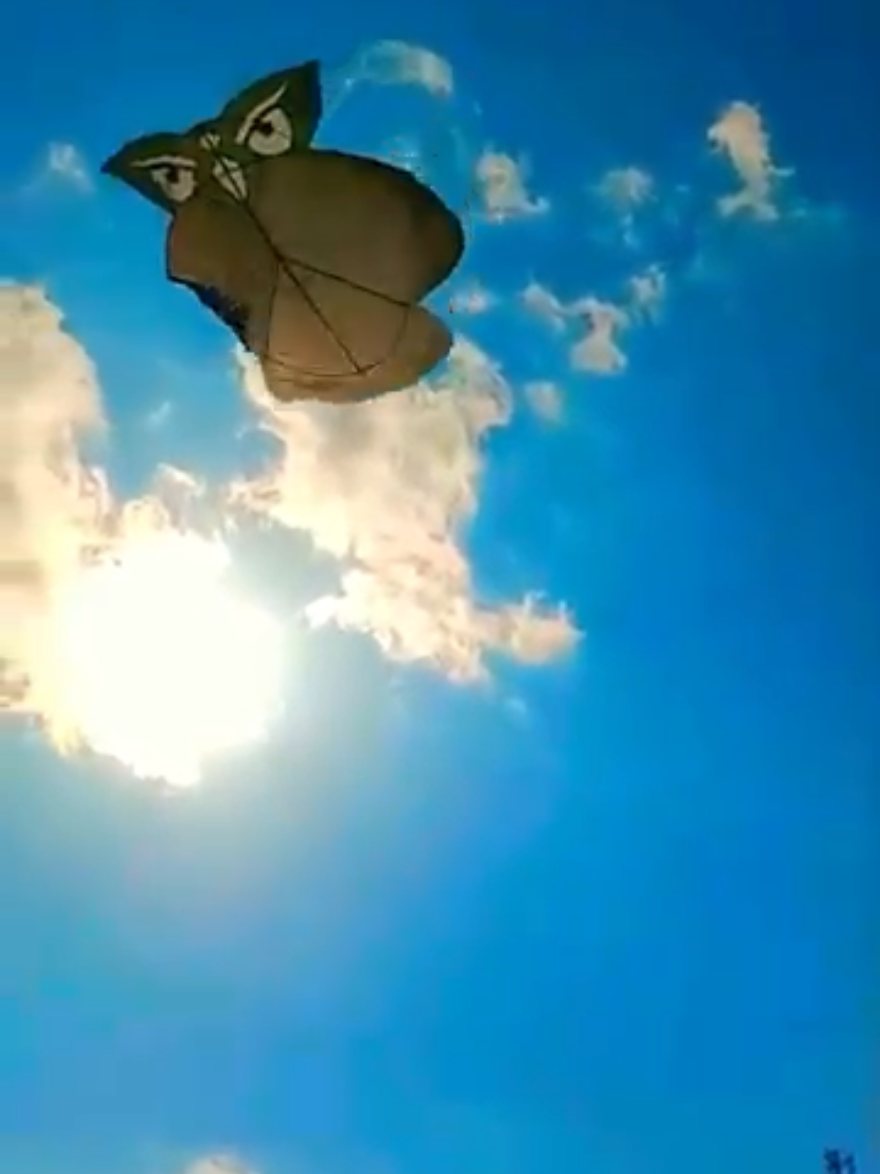 Cara membuat layangan burung hantu ada di youtube CETHENESIA #caramembuatlayangan #CETHENESIA #kitemaking #kite #saranggola 