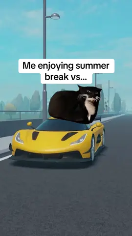 Summer break is over🚬#emergencyhamburg #notrufhamburg #roblox #fy #meme 