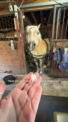 Peters party trick 🧡