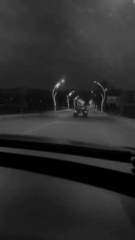 Арабските песни са терапия 
