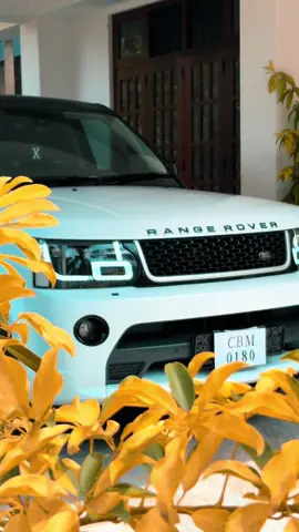 Welcome Home 🐼🤍 @Malindu Siriwardana #foryoupage #srilanka #rangerover #trending #zyxbca 