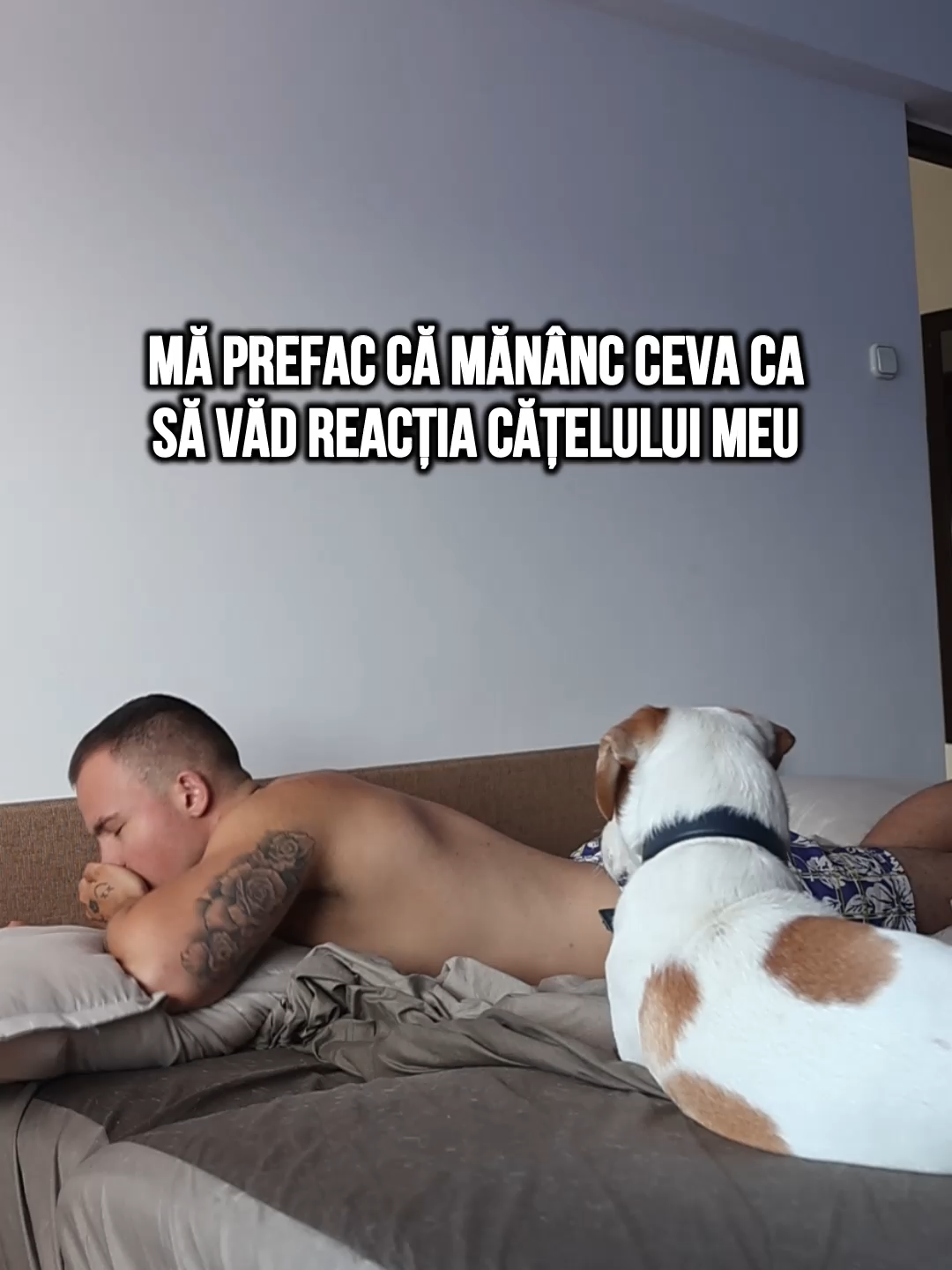 Mă plictiseam...