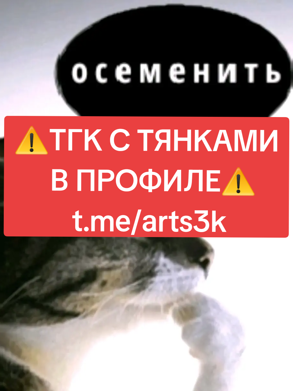 ‼️TГ C XEHT0M B БИO‼️