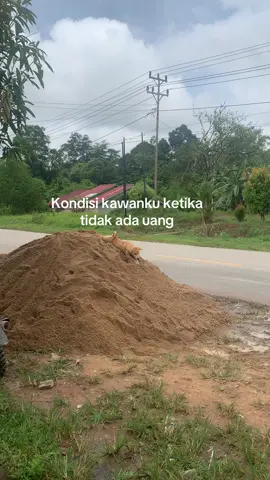 Mengapa anda tidak menandai kawan anda #fyp 