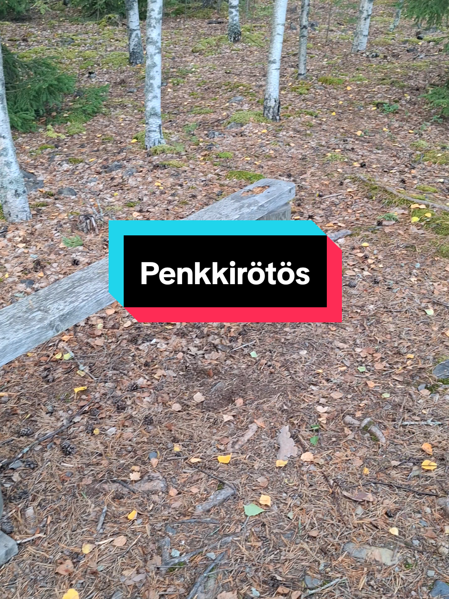 Finnish talouslesson course 1 #fyp #finland #fact #joensuu 