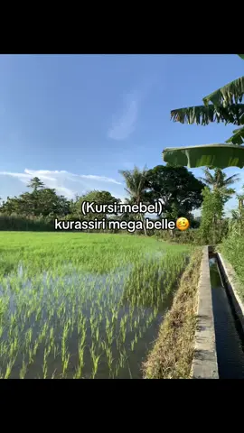 #bugissulawesi #bugispinrang #bugispride🏝️🔥 