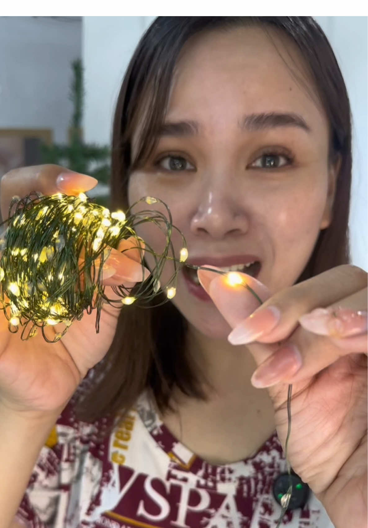 Fairy Christmas Light #christmaslights 