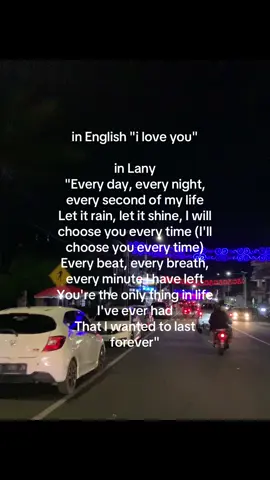 Will you be my last forever? And, I would die if one day we couldn't be together  #foryoupage #lany #jepara24jam 