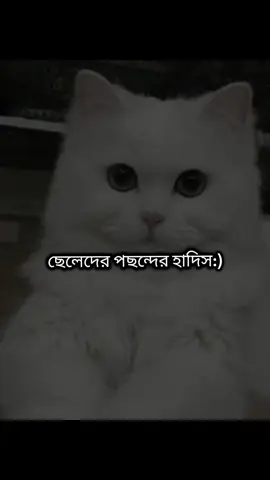 ছেলেদের পছন্দের হাদিস 😌🥲🤌🏻🤭 , , ,#terningsong🤘💫 #terningterningbrother #foryouplzzzzzzzz #ফরইউতে_দেখতে_চাই #fhypシviral @TikTok Bangladesh 