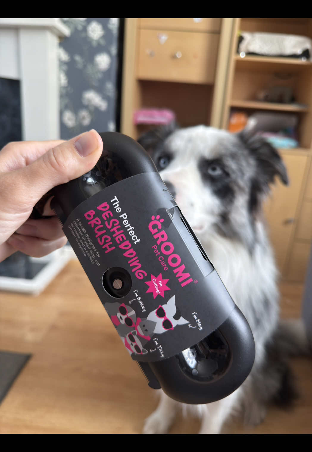 We all know how much dogs shed so we are trying out the @Groomi Pet Care deshedding brush #fluffydogproblems #hairydog #groomi #doggrooming #sheddingdog 
