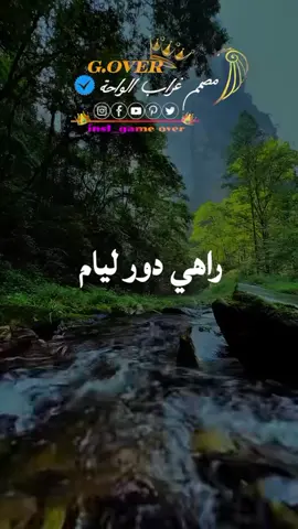 #CapCut #غراب_الواحة 
