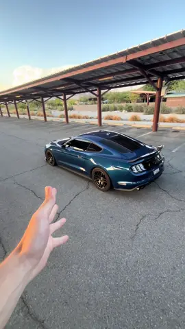 Just a little 💨 on @SheltonDiaz / @thebananavette  #CarTok #carguy #carsoftiktok #ihaveyourfamilyinmybasement #monsterenergy 