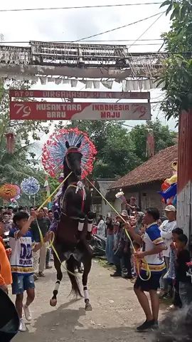 ManangGO 🐎 DDstable Loning, #kudajingkrakpurworejo  #ddstable #fyp #foryou #foryoupage #masukberanda 