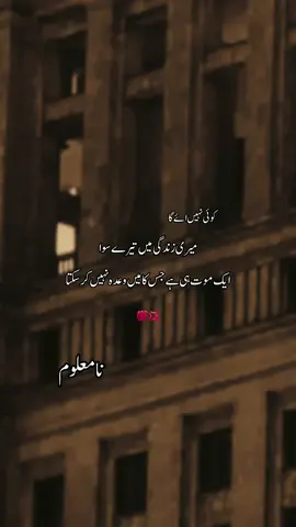 @TikTok insight  @tiktok creators  #fyp #urdushayari #peshawar  #Mardan #AttackOnTitan 