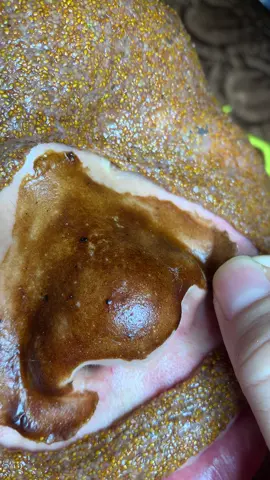 Ngọt#lấynhanmunbangtay#chamsocdamun#chamsocdaseo#chamsocdanam#tanbinh    &Acedemy