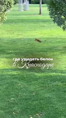 #краснодар #новости #новостирегионов #новостикраснодар #краснодар #краснодарскийкрай #сочи #анапа 