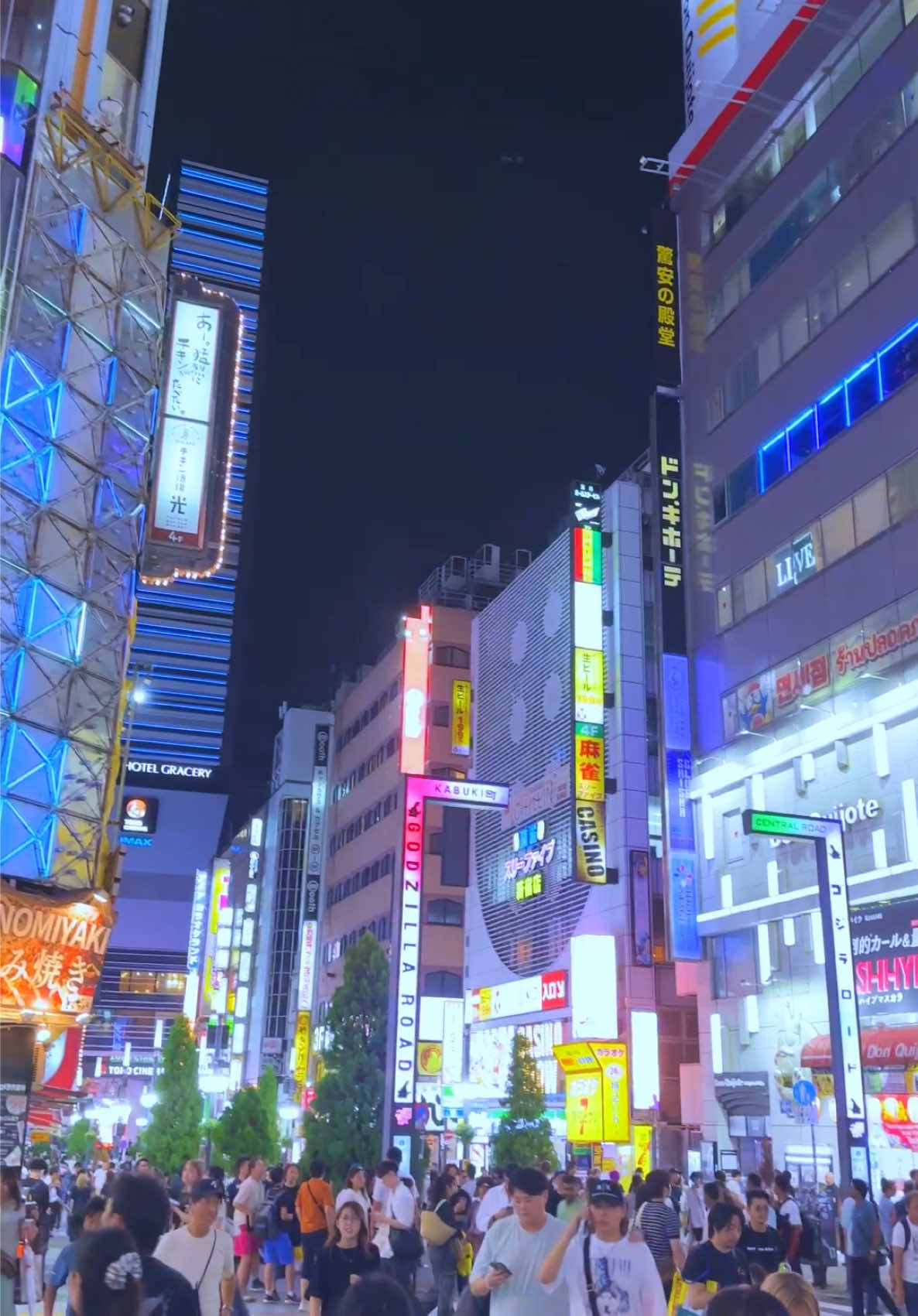 #japan #japanvibes #nightvibes #kenshuseijapan🇮🇩🇯🇵🎌 #kabukicho 