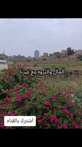 #ترندات_تيك_توك #سالم_سعيد_البارعي#يافع#