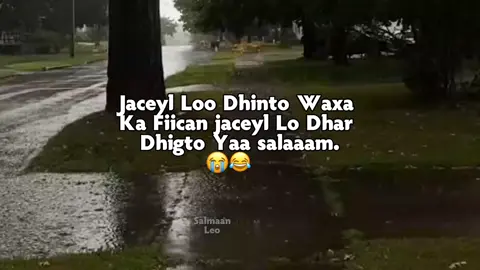 Yaa Jaceylll💘😂😂
