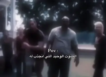 #fyp #humor #تيك_توك #cat #قطط 