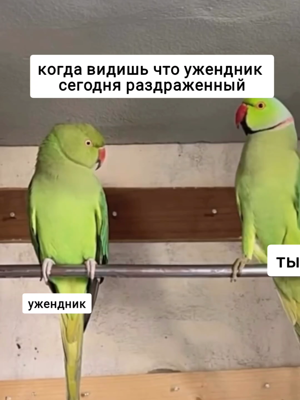 🔥 Популярные услуги по легализации:   ✅ Замена украинских прав ✅ Регистрация авто и прочих ТС ✅ Номер PKK (для автошкол) ✅ Помощь с пропиской ✅ Замена прав на польские ✅ Profil Zaufany ✅ Diia.рl ✅ Номер PESEL ✅ Статус UKR\PESEL UKR🇺🇦 ✅ Консульский учёт ✅ Помощь с документами при покупке автомобиля …и многое другое! ✨Доверьте нам рутину — и сосредоточьтесь на главном! 📞 5️⃣0️⃣0️⃣  8️⃣0️⃣2️⃣  5️⃣2️⃣0️⃣   🌐 legalwarszawa.com #життявпольші #легалізаціяпольща #тимчасовийзахист #українцівпольщі #пропискавпольше 