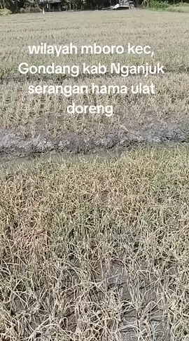 sabar doa yg terbaik bagi saudaraku yg ada di dsn mboro semoga cepat berlalu, 