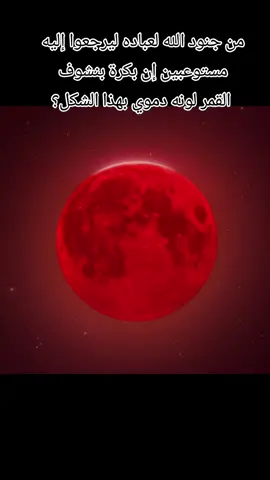 #خبر  #هاشتاق  #ترند  #ترندات_تيك_توك  #هاش  #هاشتاقات_تيك_توك_العرب  #مصر 