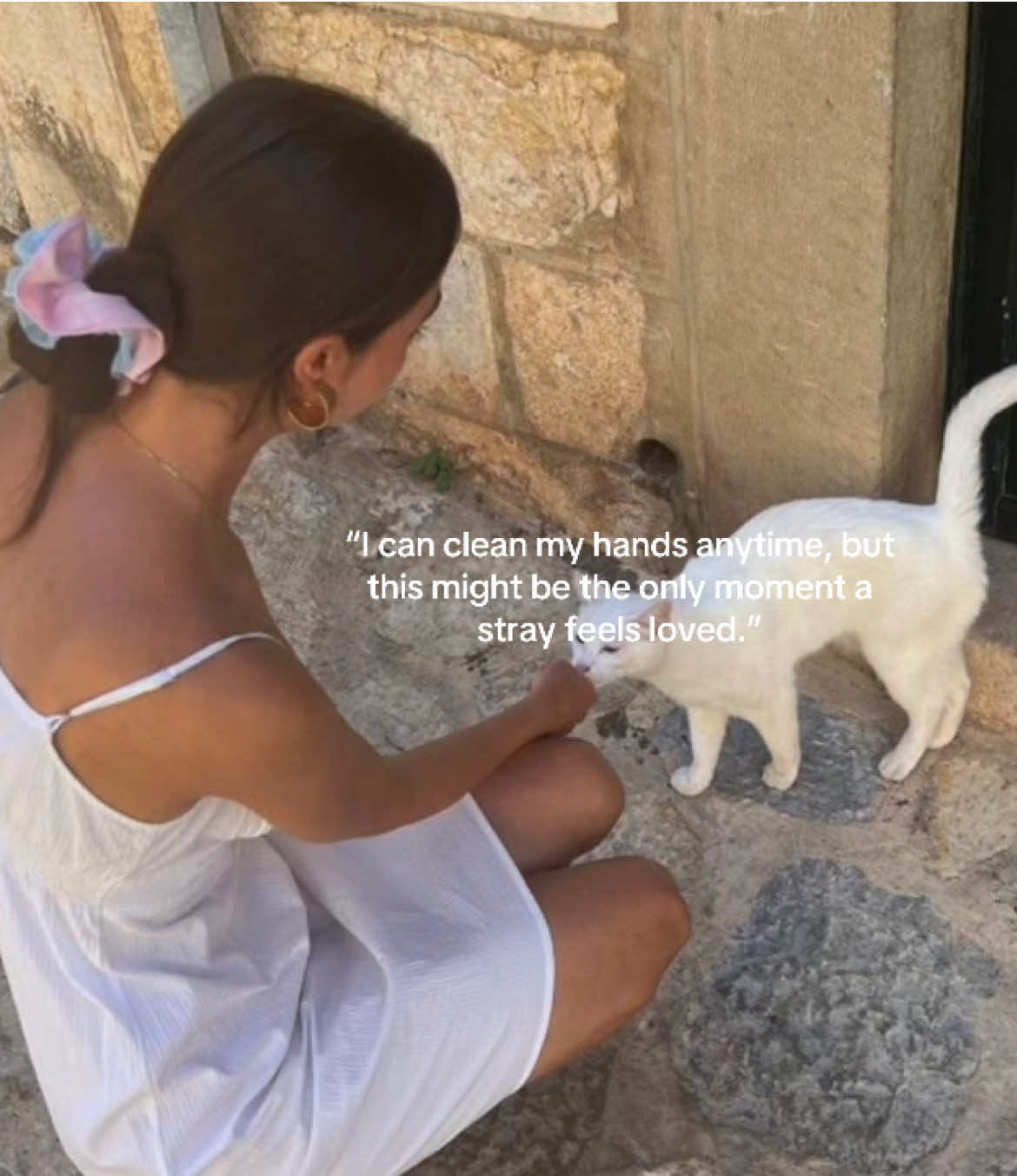 Clean hands wait, a stray’s love can’t💗 #fyp #strayanimalslover #loveforanimals #positivity #kindness 