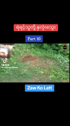 #♥️♥️♥️🥰🥰🥰ပေးခဲ့နော်😁😁😁 