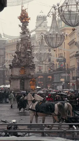 🎄 It’s 110 days until Christmas ✨ First Vienna’s festive markets will in exactly 2 months fill the air with holiday magic 🎁🎀 Your guide to Vienna’s enchanting Christmas markets: ✨ Christkindlmarkt at Rathausplatz: November 14 – December 26 ✨ Schönbrunn Palace Christmas Market: November 6 – January 6 ✨ Belvedere Palace Christmas Market: November 14 – December 26 ✨ Altes AKH Christmas Market: November 14 – December 23 ✨ Stephansplatz Christmas Market: November 8 – December 26 ✨ Am Hof Christmas Market: November 14 – December 23 ✨ Freyung Christmas Market: November 14 – December 23 ✨ Karlsplatz Christmas Market: November 21 – December 23 ✨ Spittelberg Christmas Market: November 14 – December 23 ✨ Wintermarkt at Prater/Riesenradplatz: November 21 – January 6 💡 Double-check dates before visiting. From sparkling lights to handcrafted gifts, Vienna’s Christmas markets bring pure magic 🎀🎁 Come visit Vienna 🤗 All content © @vienna_visitas. All rights reserved. #christmasinvienna #viennachristmasmarkets #winterwonderland #vienna #snow 