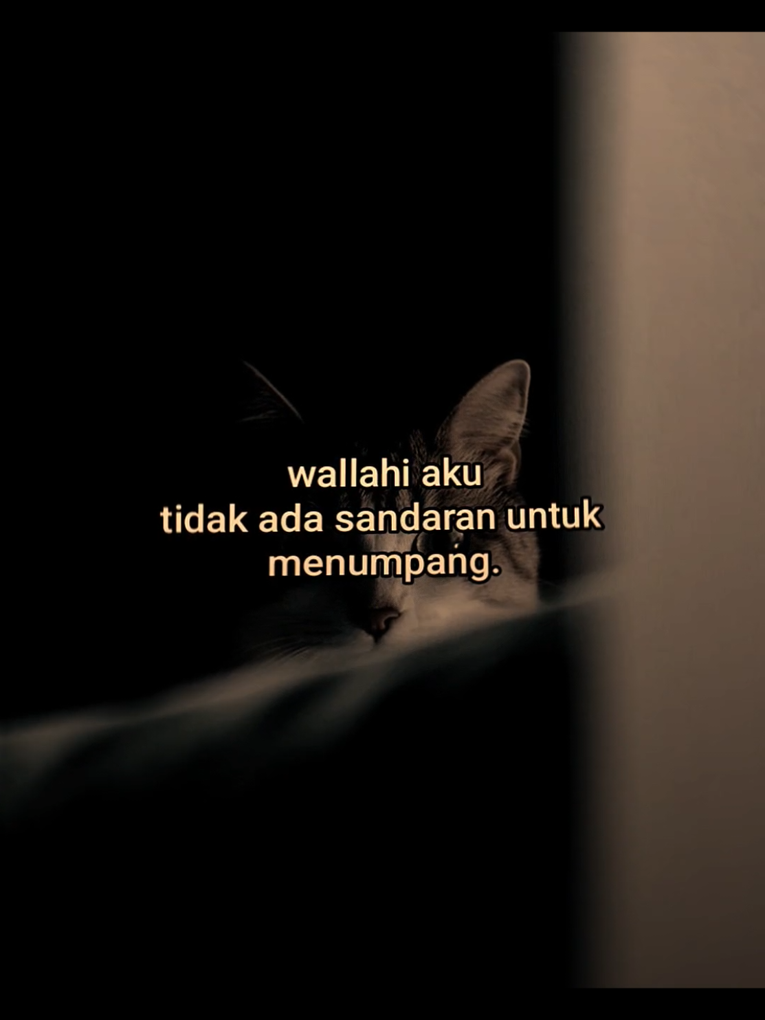 #quotes 