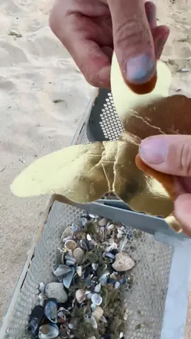#TreasureHunter #BeachTreasure #BeachCleanup #CleanTheBeach 
