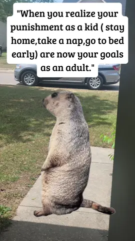 #Meme #MemeCut #CapCut 