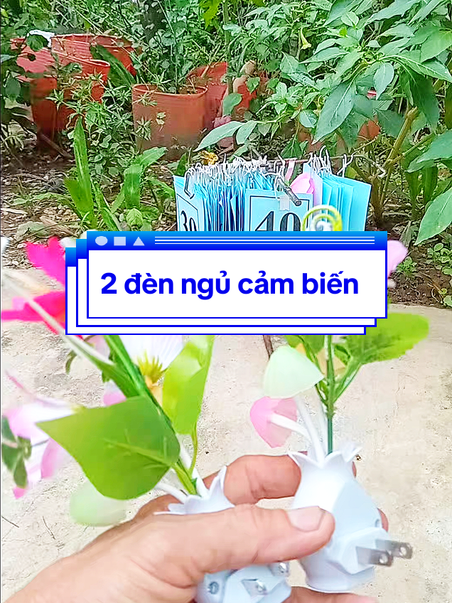combo 2 đèn ngủ cây hoa hồng cảm biến #nguyenvanloi44video #lenxuhuong #2denngucambiencayhoahong 