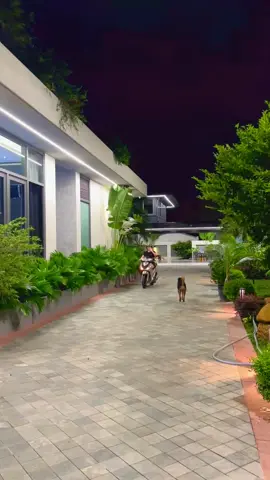 Nhớ nha con #tan #xuhuong #xuhuongtiktok 