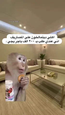 شكد تررووووووووو😭😭🎀 كلشي متوفر بالكوزمتك مالتي ادخلوا وشوفوا💐🥹 #توصيل_لجميع_محافظات_العراق #fyyyyyyyyyyyyyyyyyyyyyyyyyyyyyyppppppppppppppppppppppp #اية_الرزق_ان_شاء_الله #مالي_خلق_احط_هاشتاقات🧢 #الشعب_الصيني_ماله_حل😂😂 