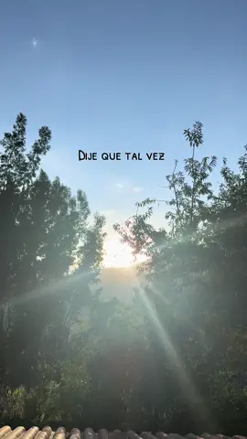 Tú y yo vamos a vivir por siempre 🤗 #liveforever #oasis #liamgallagher #noelgallagher #amanecer 