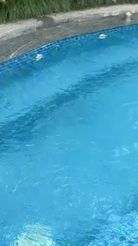 #bb Jiang #swimming 