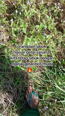 akan ku usahakan apa yang tak  kumiliki sewaktu kecil,anakku akan memilikinya🤲 #bosmuda  #bossawit  #fyp #storysawitt🔥🌴 