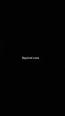 Squirrel core.#squirrel #core #funnysquirrel #animalsoftiktok #fyp 